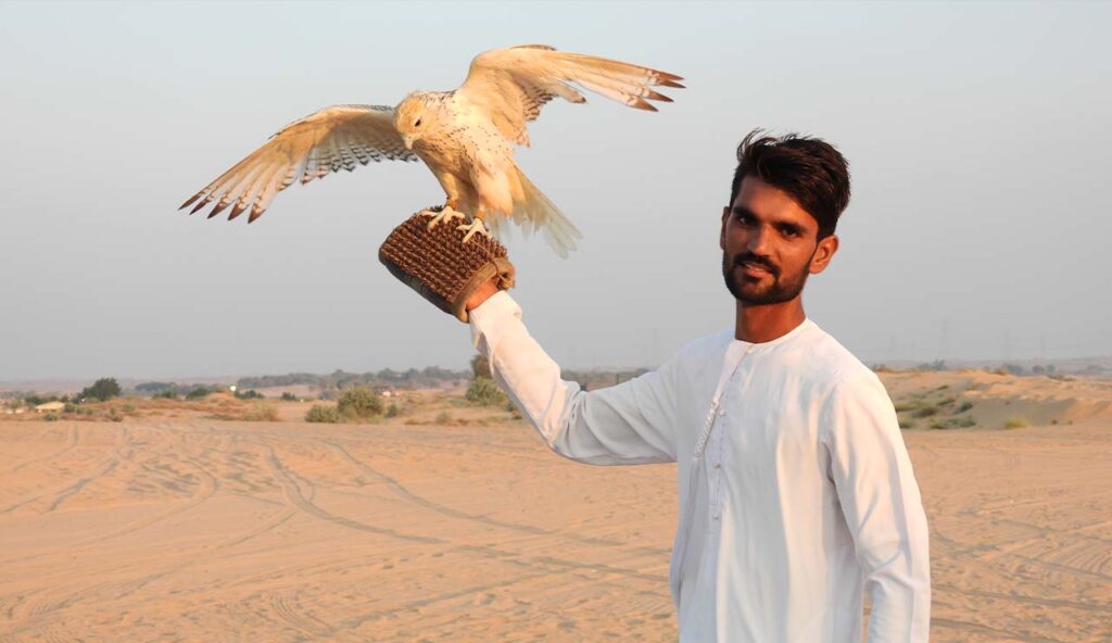 Best Hummer Desert Safari