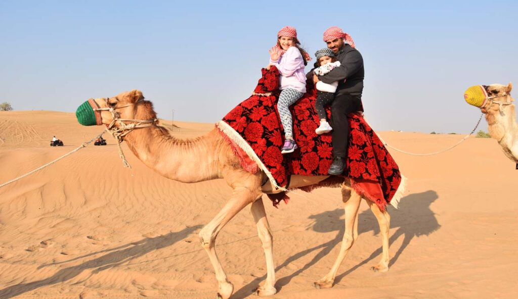 Luxury Desert Safari