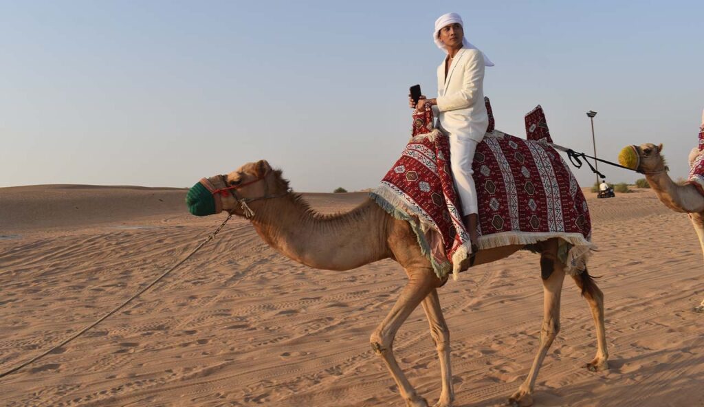 Standard Desert Safari