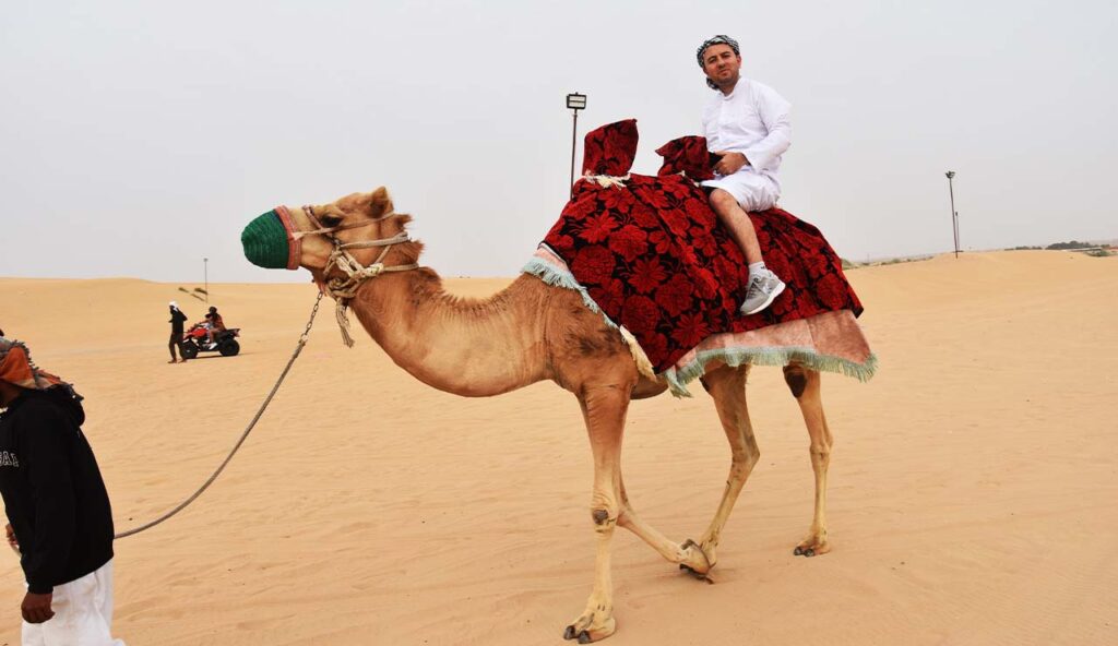 dubai desert trip